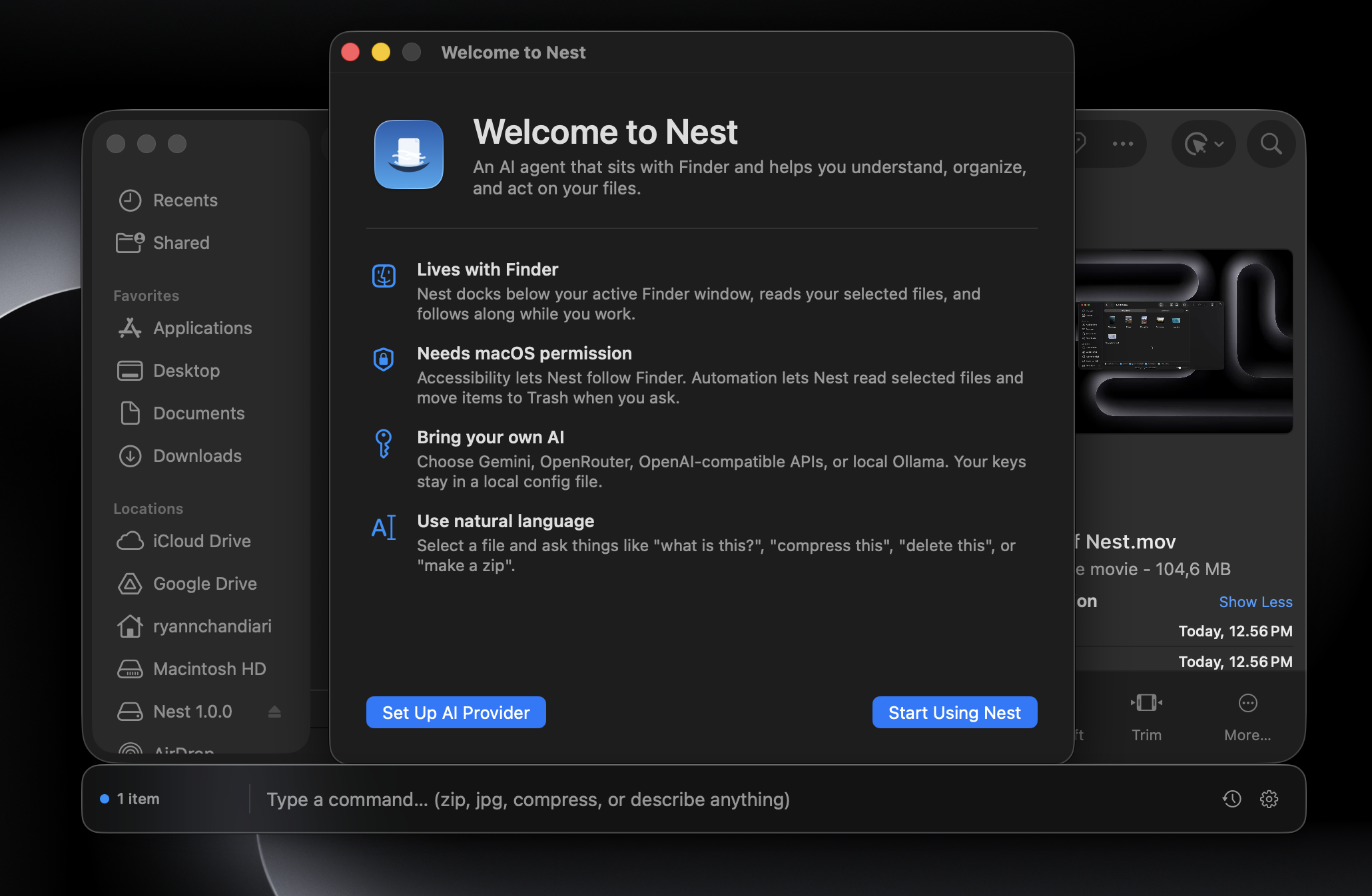 Nest macOS app preview